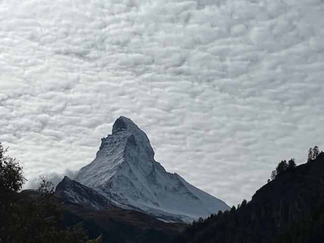 Apartments Styria Zermatt Exterior photo